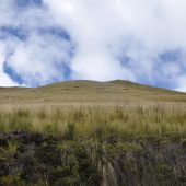  Ecuador